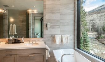 1110 Black Birch Dr, Aspen, CO 81611