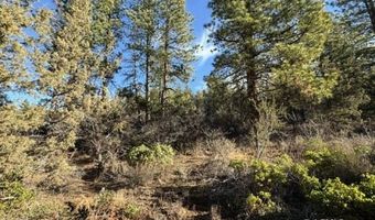 Hummingbird Dr, Bonanza, OR 97623