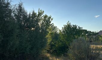 9 CHAMISA, Castle Valley, UT 84532