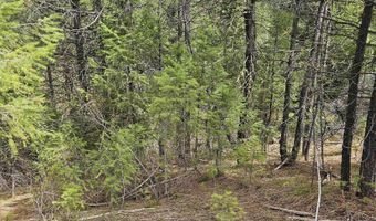 59 Price Loop, Cascade, ID 83611