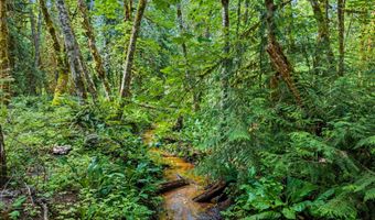64601 E BRIGHTWOOD LOOP Rd, Brightwood, OR 97011