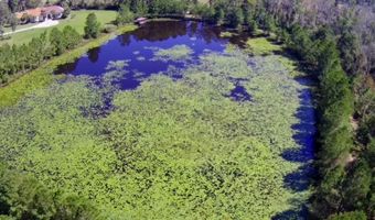 13 89 Ac Lumby Smith & Hwy 37, Adel, GA 31620