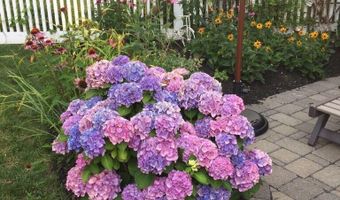 330 Sylvania Ave Summer, Avon By The Sea, NJ 07717