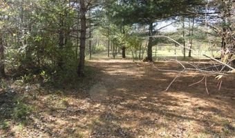 95 Acres Highway 13, Wisconsin Dells, WI 53965