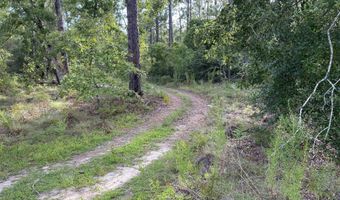 Putnam Avenue lot 31, Alford, FL 32420