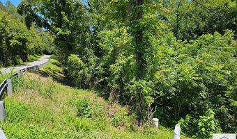 49- LOT Cedar Hill Dr, Bassett, VA 24055