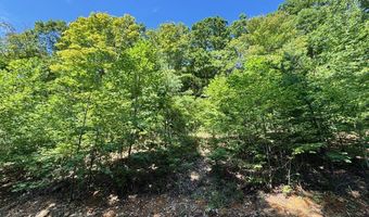 626 N Pointe Trl, Allons, TN 38541