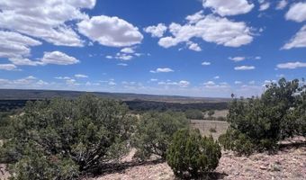 41 Indian Drive CR 8062, Concho, AZ 85924