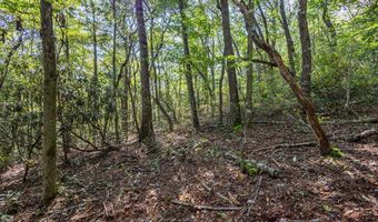 23 59 Ac Chestnut Flats Rd, Andrews, NC 28901