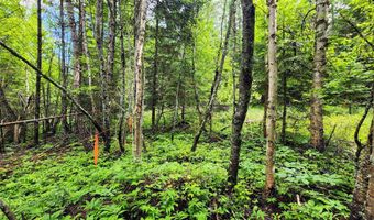 13727 Big Hawk Dr, Bigfork, MT 59911