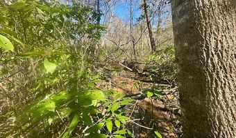 0 Tervin Mill Rd, Andalusia, AL 36421