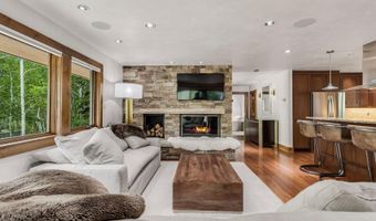 203 Eastwood Dr, Aspen, CO 81611