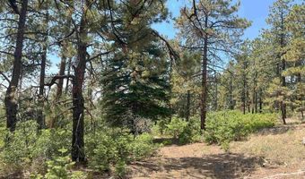17 Snow Way Dr, Bayfield, CO 81122