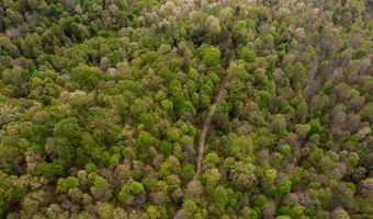 tbd9999 Wentworth School Road, Beattyville, KY 41311