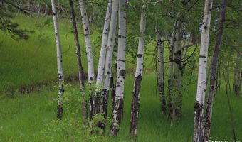 Old Flowers Rd, Bellvue, CO 80512