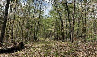 State Hwy N Tract G, Ava, MO 65608