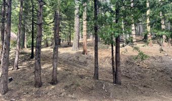 5175 Hokan Cir, Camp Connell, CA 95223
