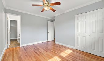 1113 S Haddow Ave, Arlington Heights, IL 60005
