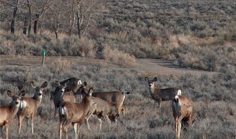 nhn Ranger Way lot Bvr 942-3, Belfry, MT 59008