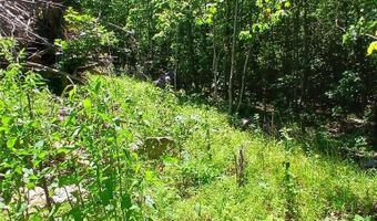 0000000 Easement, Annapolis, MO 63620