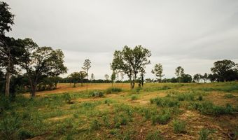 447 County Road 215, Abbeville, MS 38601