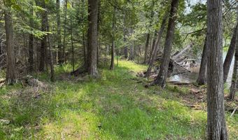 Banwell Road, Alanson, MI 49706