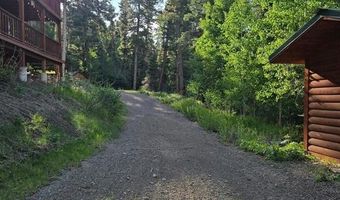 1407 Clarke Mountain Ln, Antonito, CO 81120