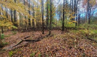 Schaen Drive, Andover, OH 44003