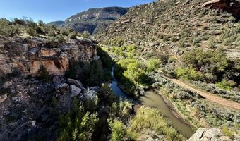 TBD X4 Road, Bedrock, CO 81411