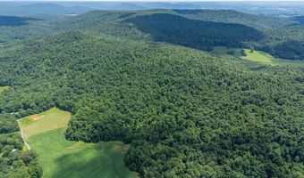 0 McKinley Guffey, Albany, KY 42602