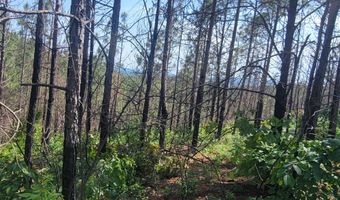 0 CR 77, Ashland, AL 36251