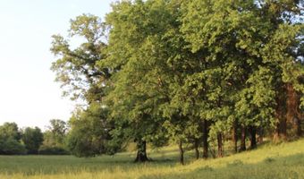 299 Tract 2 Harmony, Amity, AR 71921