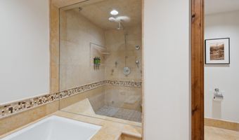 415 E Dean St Unit 50 Week 8, Aspen, CO 81611