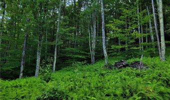 Lot # 19 Brush Hollow Road, Bovina, NY 13740