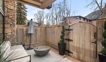 1024 E Cooper Ave 1, Aspen, CO 81611