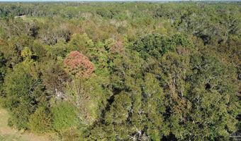 0 Cowpen Creek Rd, Atmore, AL 36502