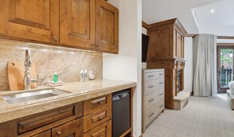 415 E Dean St Unit 19 Week 28, Aspen, CO 81611