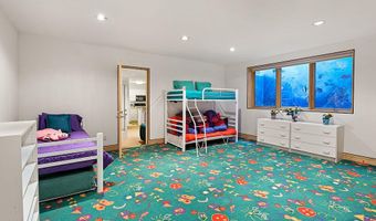 530 W Francis St, Aspen, CO 81611
