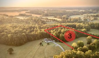 Tract 3 County Road 503, Anderson, AL 35610