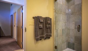 231 Robinson Street 330, Basalt, CO 81621