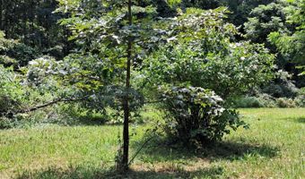 208 Lee Grant Ave, Appomattox, VA 24522