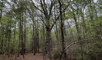Ridge Road lot E, Appling, GA 30802