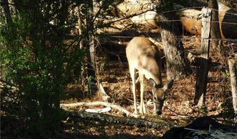 873 Port West Dr, Auburn, GA 30011