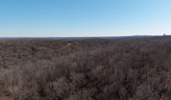 Tuska Drive, Ash Flat, AR 72513