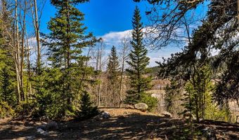 270 Co Rd 667 Lot 0, Alma, CO 80440