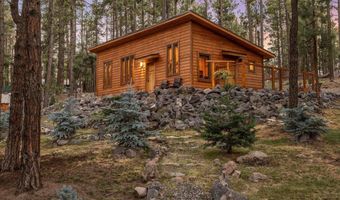 24 County Rd 2267, Alpine, AZ 85920