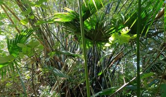 Keanae Rd Lot 8A, Hana, HI 96713