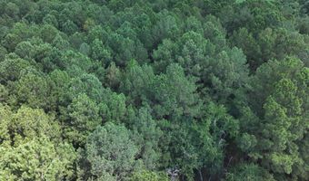 Highway 112, Abbeville, GA 31001