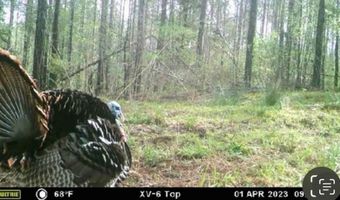 Hwy 9, Bruce, MS 38915