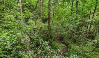 399 Shell Stand Rd, Almond, NC 28702